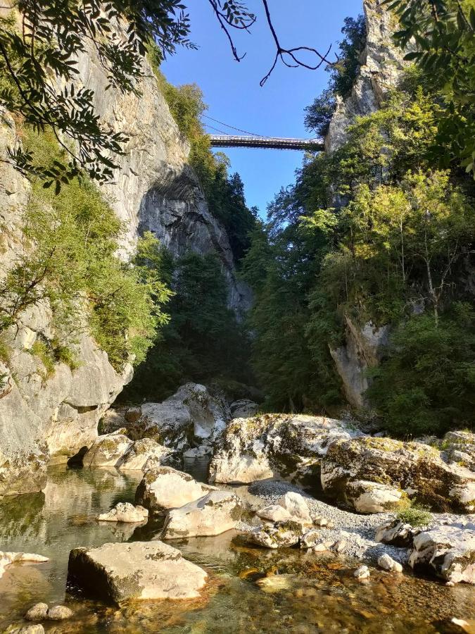 Entre Lacs Et Montagnes Cusy エクステリア 写真