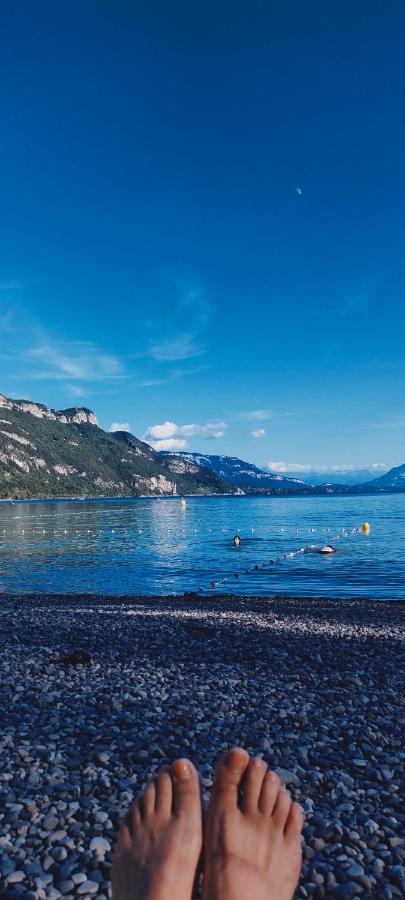 Entre Lacs Et Montagnes Cusy エクステリア 写真